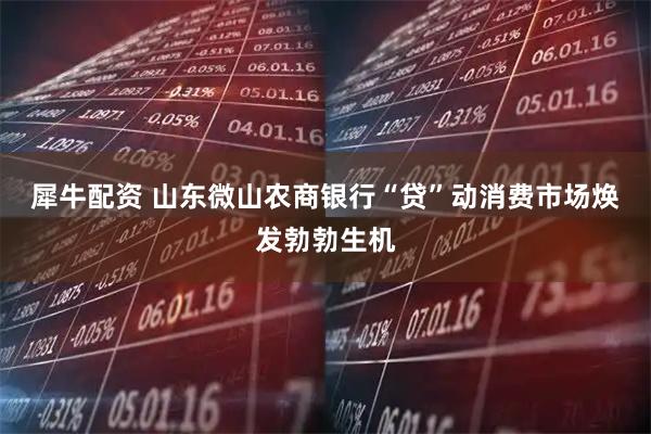 犀牛配资 山东微山农商银行“贷”动消费市场焕发勃勃生机