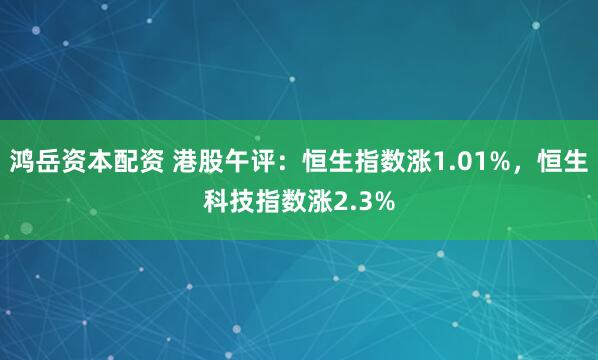 鸿岳资本配资 港股午评：恒生指数涨1.01%，恒生科技指数涨2.3%