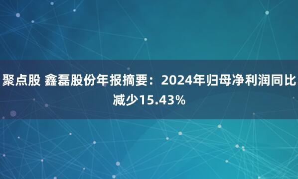 聚点股 鑫磊股份年报摘要：2024年归母净利润同比减少15.43%