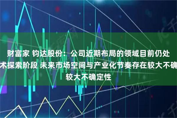 财富家 钧达股份：公司近期布局的领域目前仍处于技术探索阶段 未来市场空间与产业化节奏存在较大不确定性